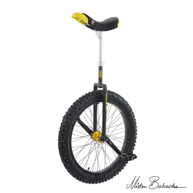 Monocycle Qu-ax muni 24' - noir