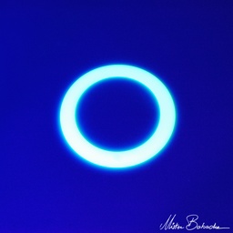 [0027] Ring - 24 cm - glow in the dark
