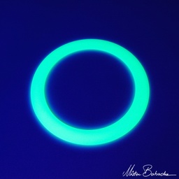 [0032] Ring - 32 cm - glow in the dark