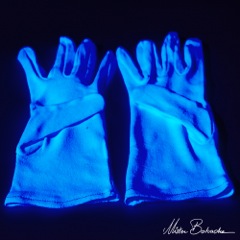 Gants coton blanc (réactifs aux UV)