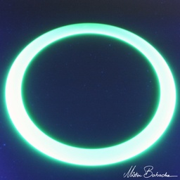[0052] Anneau - 40 cm - Phosphorescent 